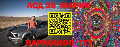 герыч Можга
