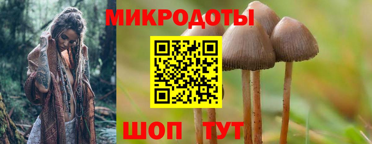 Галлюциногенные грибы мухоморы Кондопога